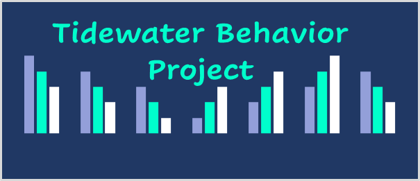 Tidewater Behavior Project; PLLC
